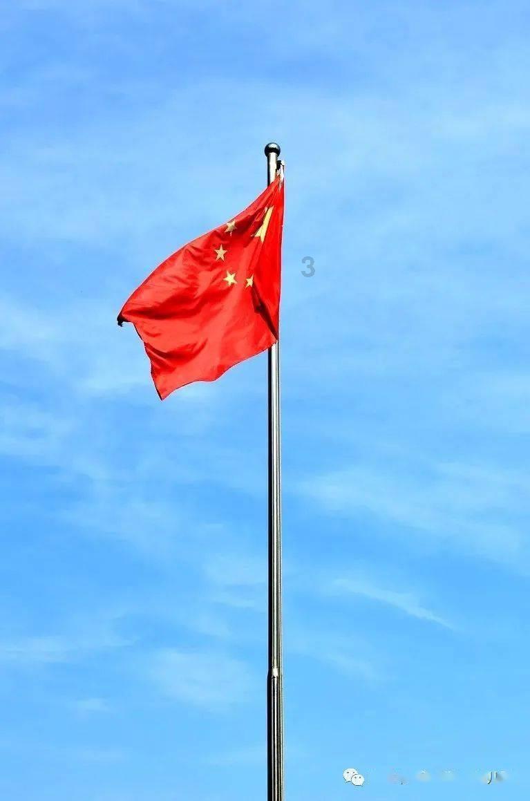 单身狗大作战